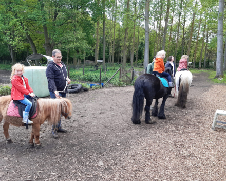 Schoolreis De Witte Hoeve