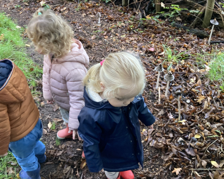 Jules in het kabouterbos