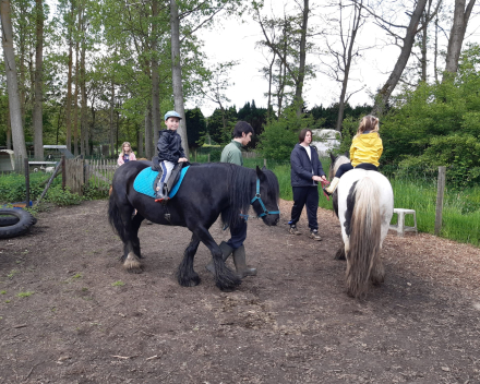 Schoolreis De Witte Hoeve