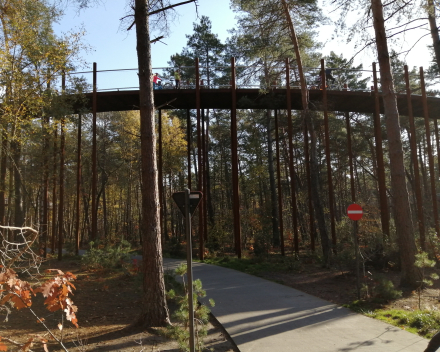 ...op een fietspad door de bomen! Cool! 🌳🌳