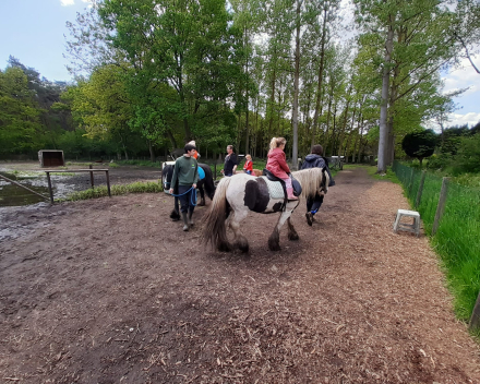 Schoolreis De Witte Hoeve