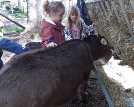 Schoolreis De Witte Hoeve