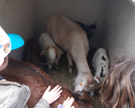 Schoolreis De Witte Hoeve