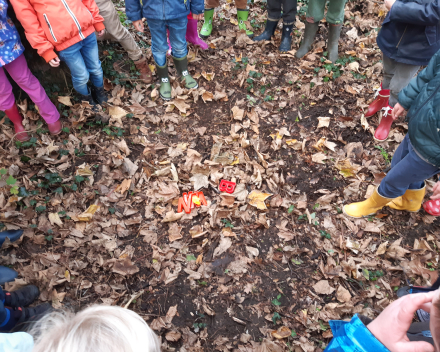 Sfeerfoto's thema herfst