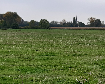 Sfeerfoto's thema herfst