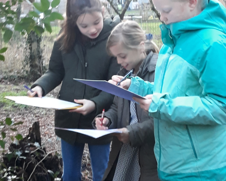 Gedichtenwandeling vrijdag 29 januari 2021