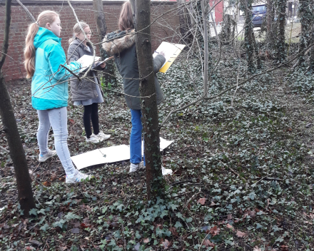 Gedichtenwandeling 29 januari 2021