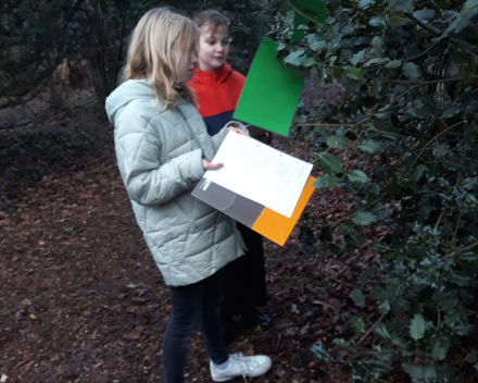 Gedichtenwandeling vrijdag 29 januari 2021