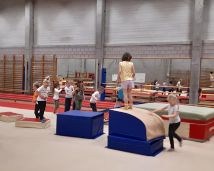 Turnles in de sporthal van Wespelaar