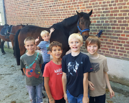 Werelddierendag: naar de paarden bij Cisse!