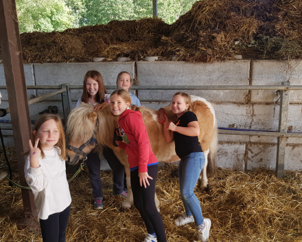 Werelddierendag: naar de paarden bij Cisse!