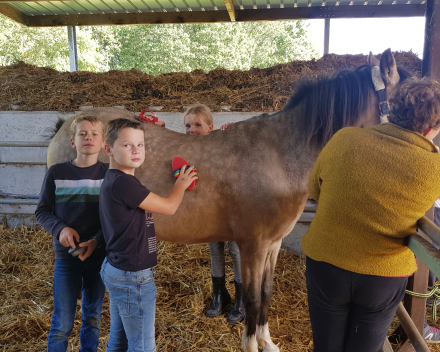 Werelddierendag: naar de paarden bij Cisse!