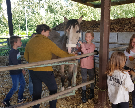 Werelddierendag: naar de paarden bij Cisse!