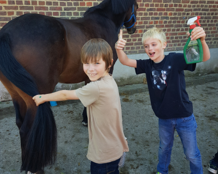 Werelddierendag: naar de paarden bij Cisse!