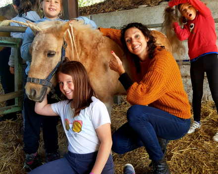 Werelddierendag: naar de paarden bij Cisse!