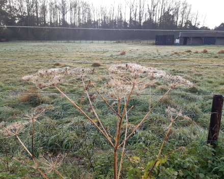 Herfstwandeling