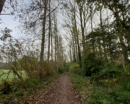 Herfstwandeling