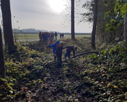 Herfstwandeling