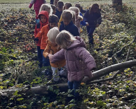 Herfstwandeling