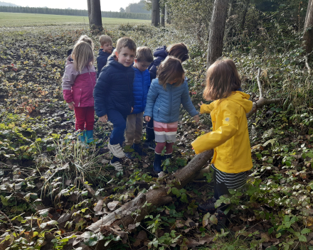 Herfstwandeling