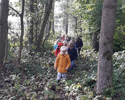 Herfstwandeling