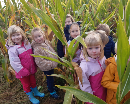 Herfstwandeling