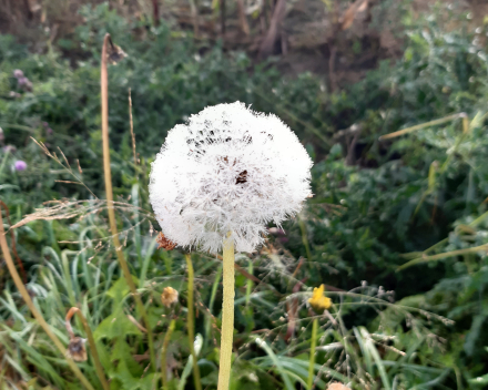 Herfstwandeling