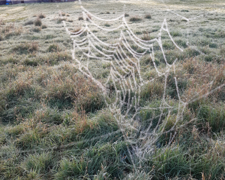 Foto's oktober 2022