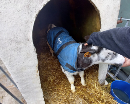 Boerderijbezoek en het Vinne 24 maart 2023