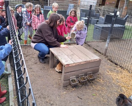 Schoolreis De Witte Hoeve
