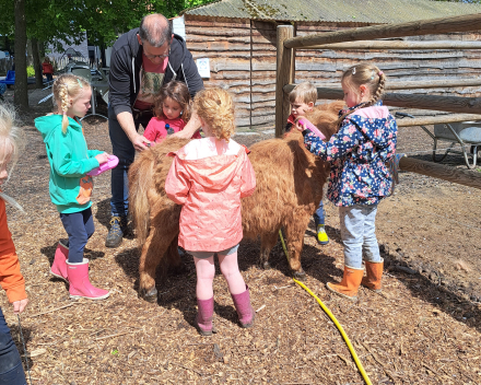 Schoolreis De Witte Hoeve