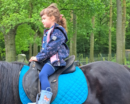 Schoolreis De Witte Hoeve