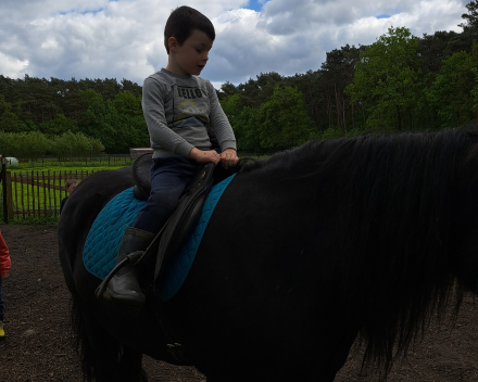 Schoolreis De Witte Hoeve