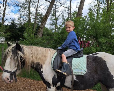 Schoolreis De Witte Hoeve