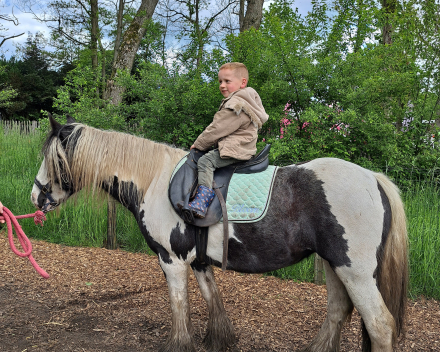 Schoolreis De Witte Hoeve