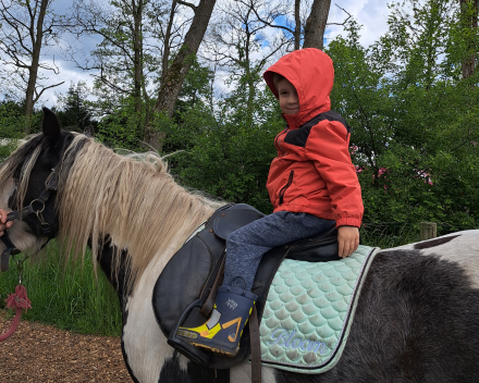 Schoolreis De Witte Hoeve