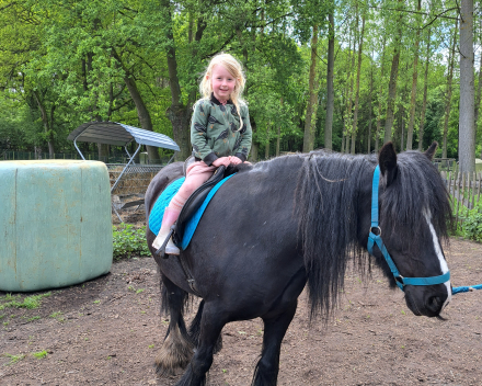 Schoolreis De Witte Hoeve