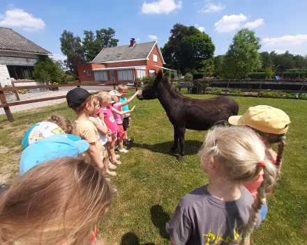 Uitstap naar de tuin van de juf