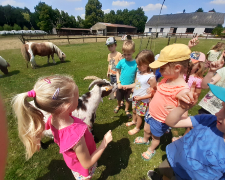 Uitstap naar de tuin van de juf