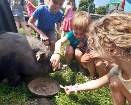 Uitstap naar de tuin van de juf