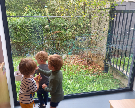 Wij gaan op berenjacht