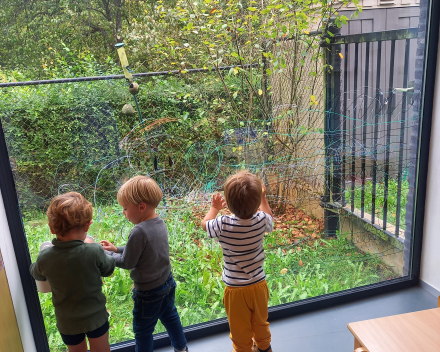 Wij gaan op berenjacht
