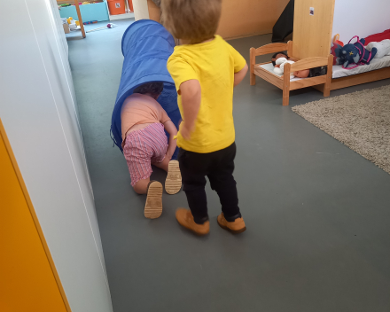 Wij gaan op berenjacht