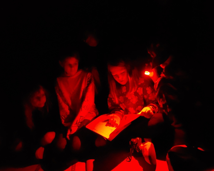 Halloween - griezelige verhalen op zolder