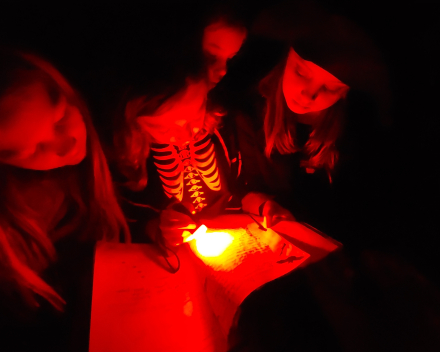 Halloween - griezelige verhalen op zolder