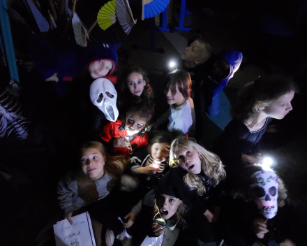 Halloween - griezelige verhalen op zolder