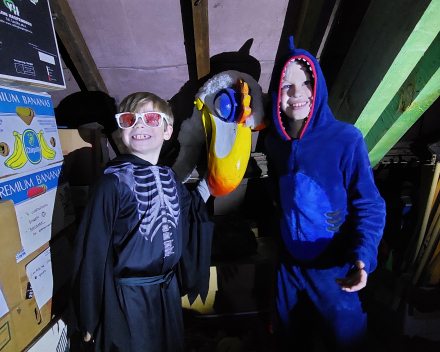 Halloween - griezelige verhalen op zolder