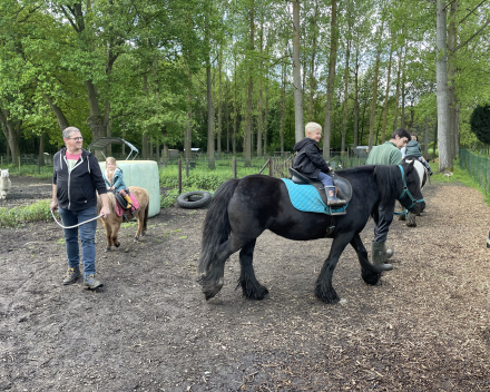 Schoolreis De Witte Hoeve