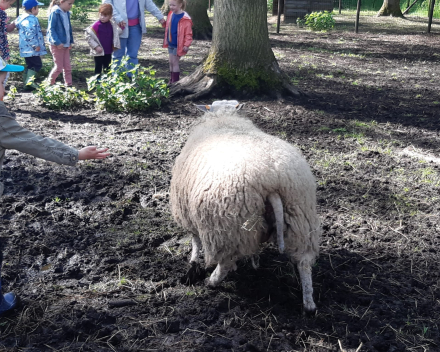 Schoolreis De Witte Hoeve