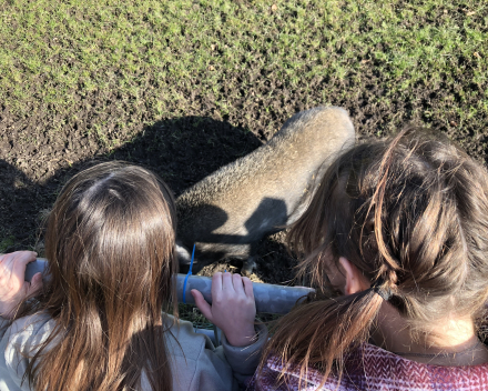 Wij kunnen de lente al ruiken! 